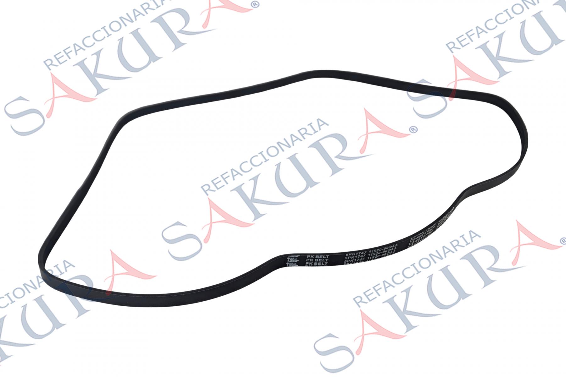 11920-00QAA%20(Banda%20Alternador%20Accesorios%20)