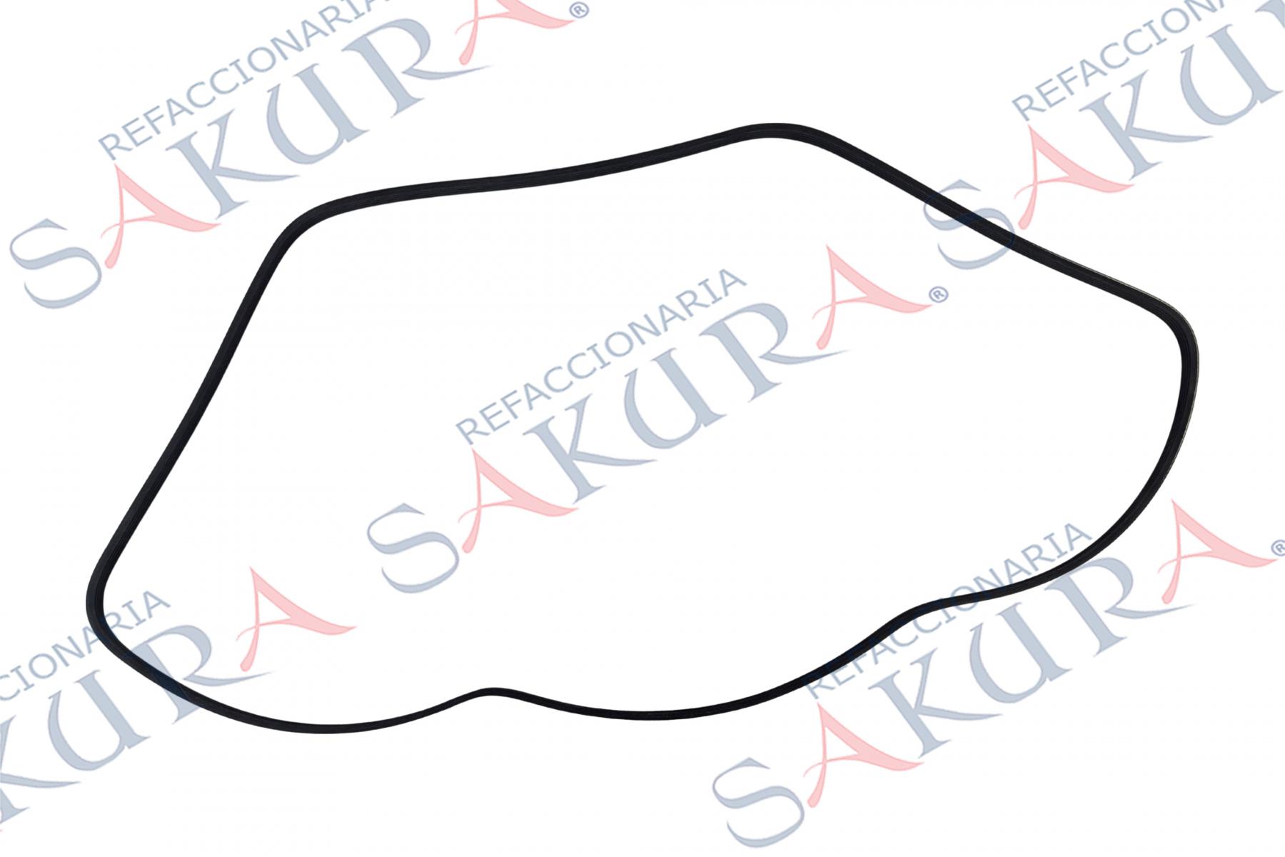 11920-00QAA%20(Banda%20Alternador%20Accesorios%20)