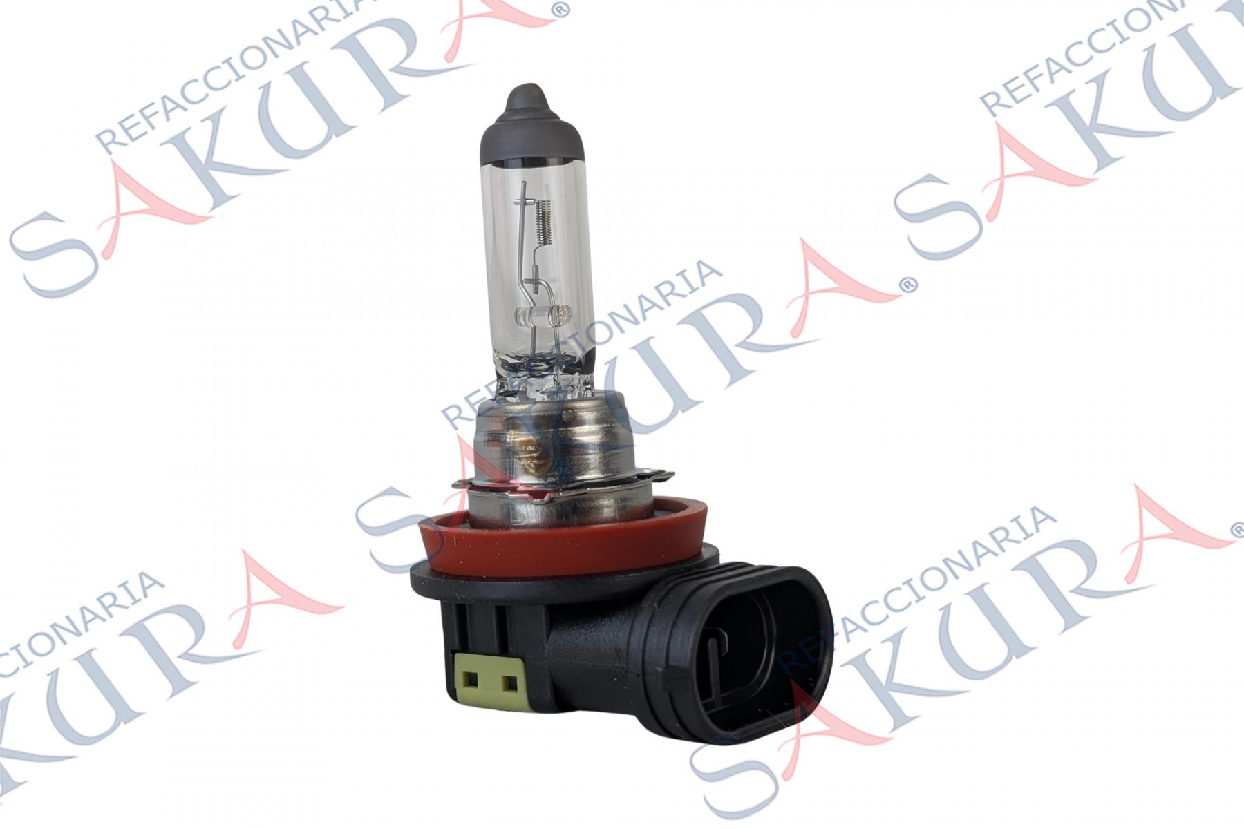 H11%20(FOCO%20H11%20)