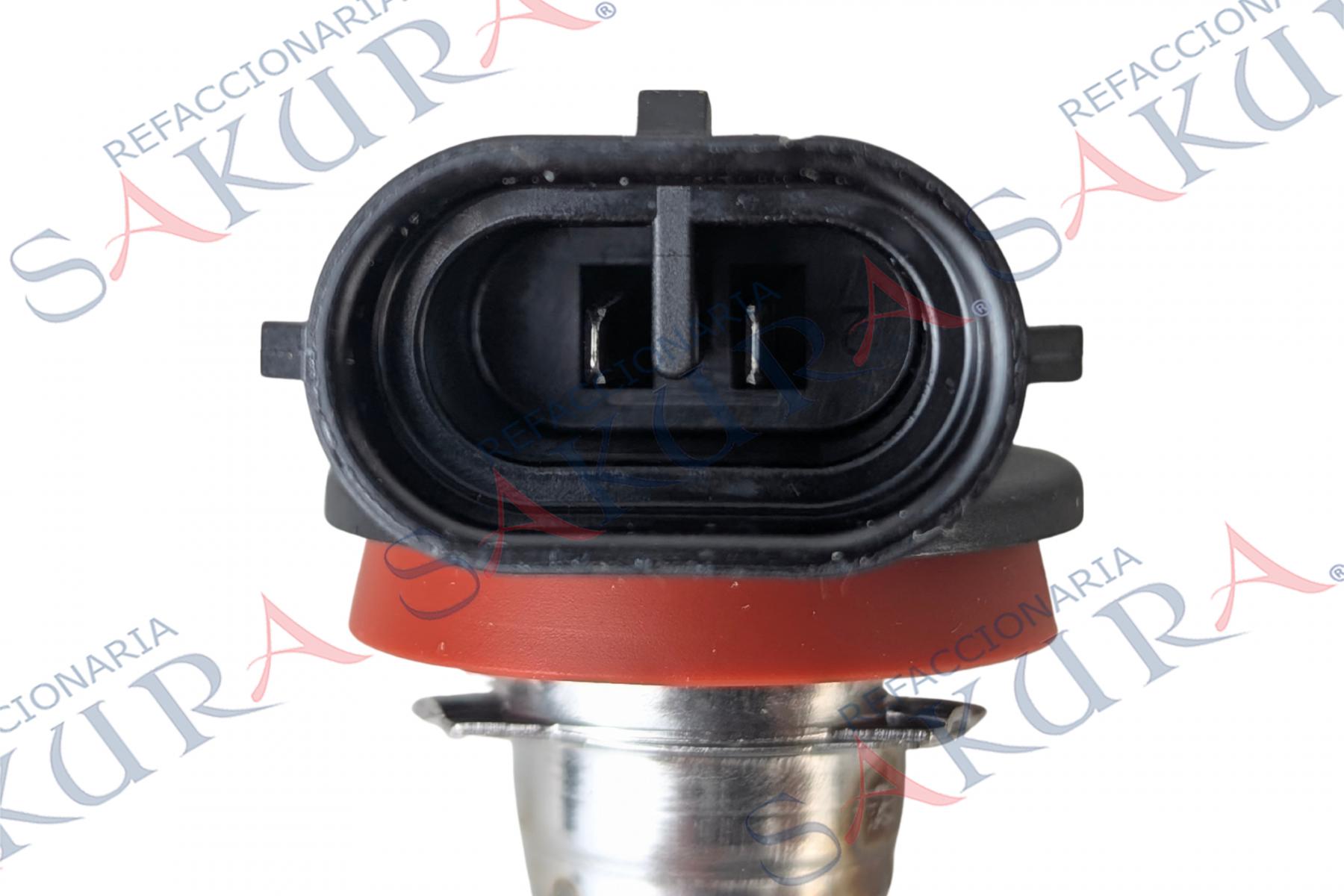 H11%20(FOCO%20H11%20)