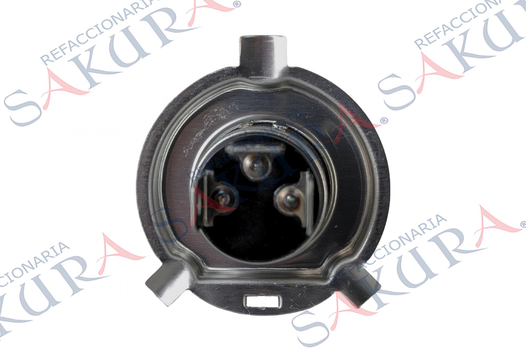 H4P43T38%20(Foco%20H4%20%20)